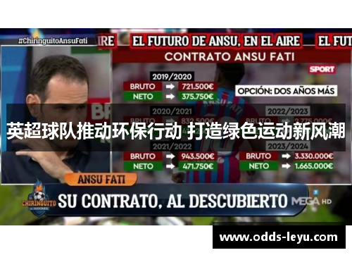 英超球队推动环保行动 打造绿色运动新风潮 英超球队推动环保行动 打造绿色运动新风潮