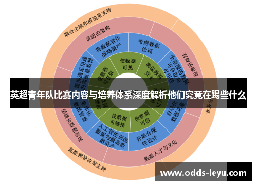 英超青年队比赛内容与培养体系深度解析他们究竟在踢些什么