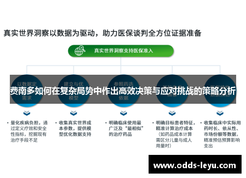 费南多如何在复杂局势中作出高效决策与应对挑战的策略分析
