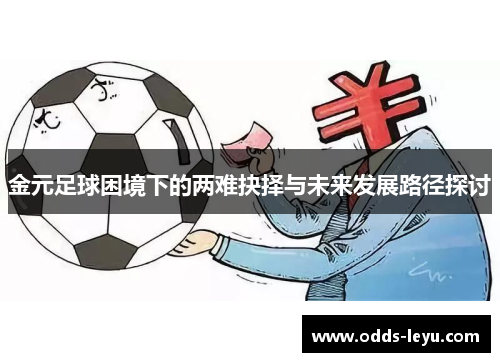 金元足球困境下的两难抉择与未来发展路径探讨