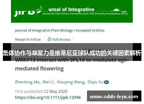 集体协作与凝聚力是维蒂尼亚球队成功的关键因素解析